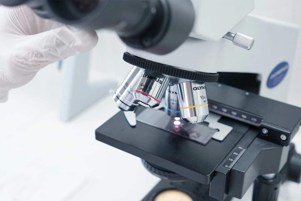 Helicobacter pylori: Diagnostika a eradikácia tejto baktérie